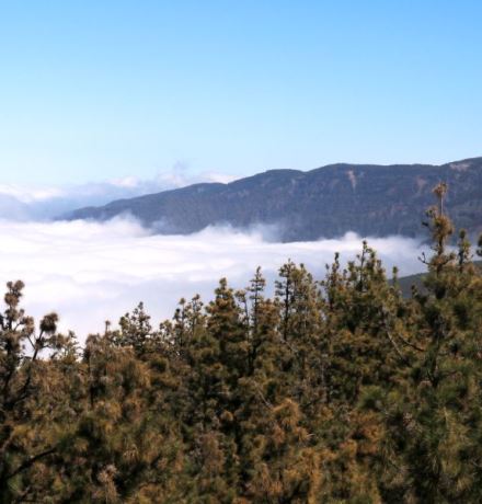 עננים מכסים את המדרון הצפוני של הר טיידה, הגבוה בהרי ספרד, בטנריף. צילום: יעקב שקולניק