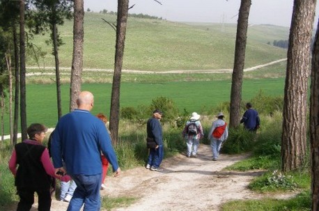 מתוך ארכיון קקל