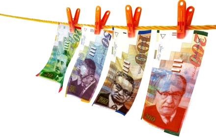 דמי כיס עם ערכים. צילום: SXC