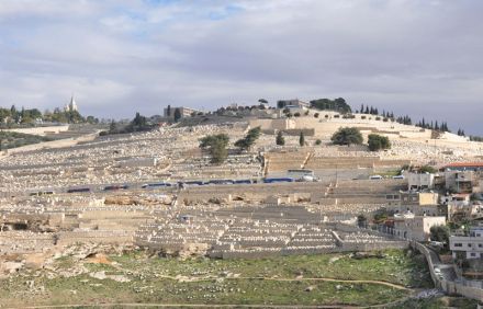 צילום: מלכה ברקאי, ארכיון הצילומים של קקל