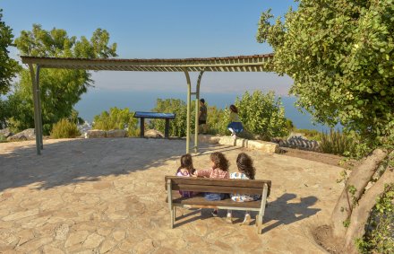 אנדרטת משבר לתקווה ביער המגינים. צילום: יואב לין