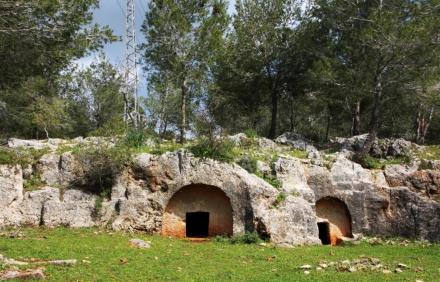 יער קרן הכרמל. צילום: יעקב שקולניק, ארכיון הצילומים של קקל