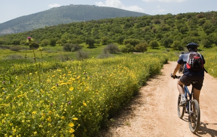 צילום: נדב רותום
