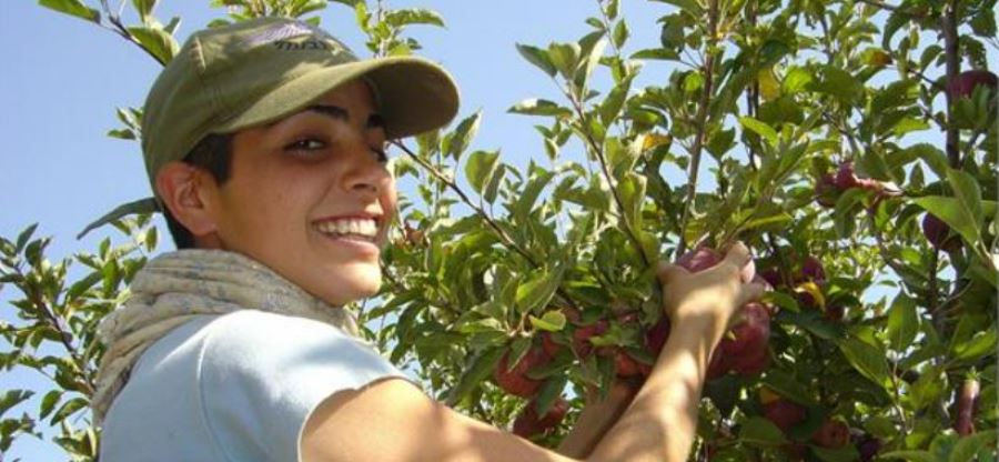 להתחיל את השנה עם חיוך. קטיף רימונים בפארק הירדן. צילום: מיכאל חורי, ארכיון הצילומים של קקל