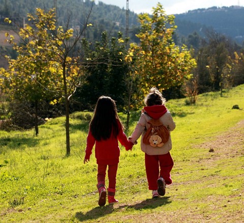 פארק ירושלים. צילום: יוסי זמיר, ארכיון הצילומים של קקל
