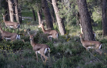 מצפה נפתוח. צילום: יוסי זמיר, ארכיון הצילומים של קקל
