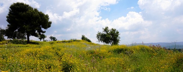 בואו ונשמור יחד על השטחים הפתוחים שחשובים לנו. צילום: pixabay
