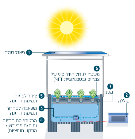 מערכת הידרופונית סולרית
