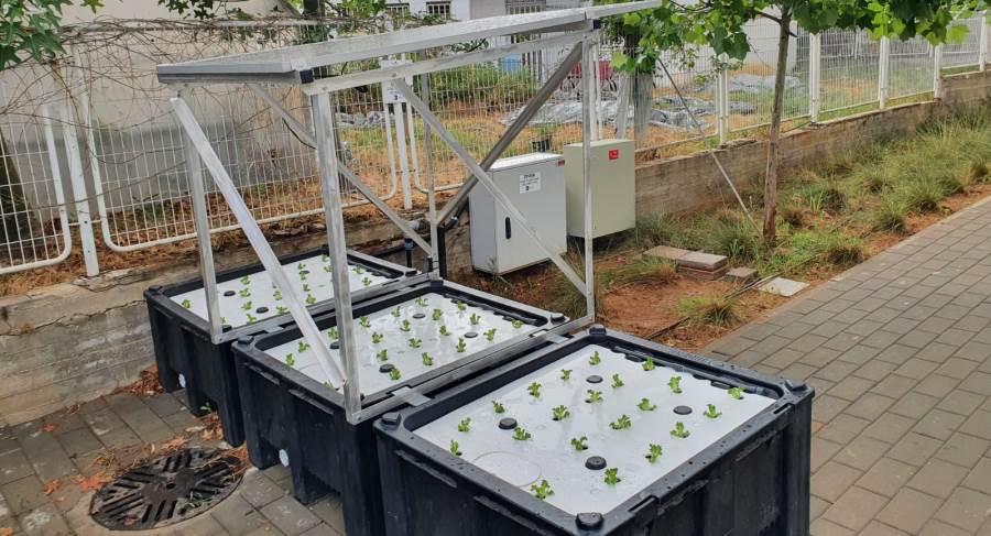 מערכת הידרופונית סולרית בבית קקל בקריית מלאכי. צילום באדיבות בית קקל