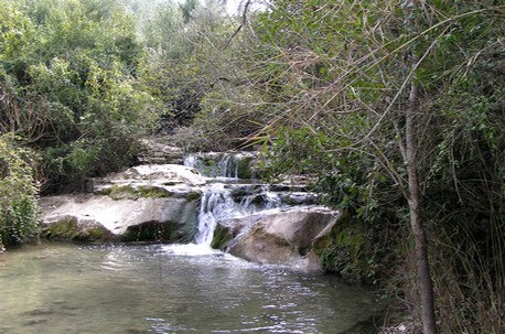 צילום: באדיבות ארכיון קקל