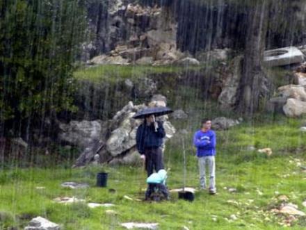 גשמי ברכה ביערות קקל בגליל. צילום: אבי הירשפילד