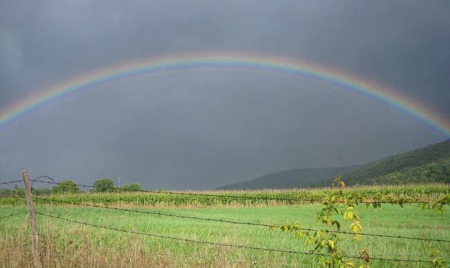 כמה צבעים יש בקשת? צילום: freeimages