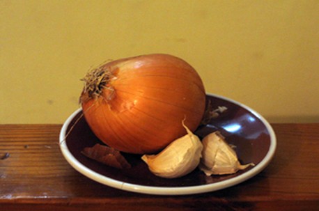 שום ובצל. צלמה: ענבר מעיין