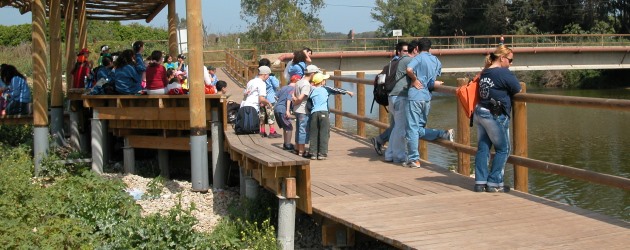 גשר הצבים בנחל אלכסנדר. מקור משיכה למבקרים. צילום: יעקב שקולניק