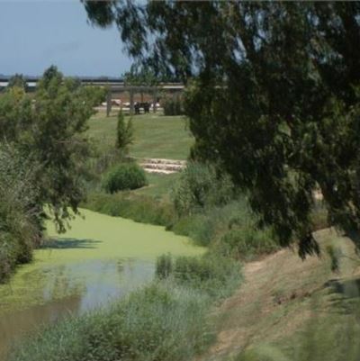 נחל אלכסנדר – חוצה גבולות. צילום: פלאש 90, ארכיון הצילומים של קקל