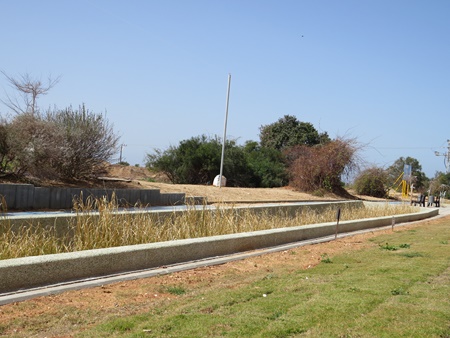 הביופילטר בבת ים שפועל לטיהור מי הנגר. צילום: יואב ספאחי