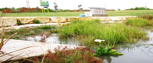 הביופילטר בכפר סבא. צילום: ארכיון הצילומים של קקל