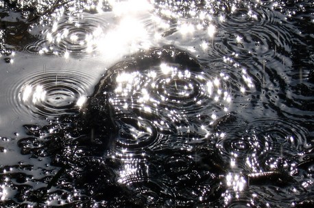 מי גשמים. צילום: SXC