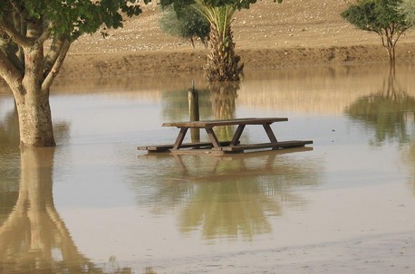 שלולית גדולה בנגב. צילום: נירה צדוק ודני בן-דוד