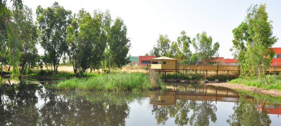 בריכת החורף שפיר. צילום: רפי בן חקון, ארכיון הצילומים של קקל