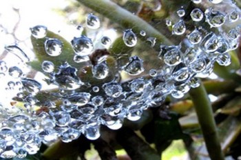 השימוש במים גדל עם העלייה ברמת החיים וההתפתחות הטכנולוגית. צילום: אירה חייט