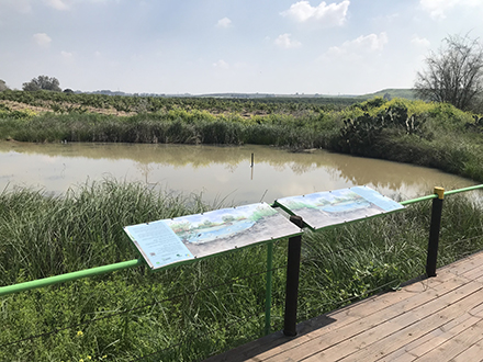 בריכת החורף המשוקמת בהודיה. צילום: פולה כהן