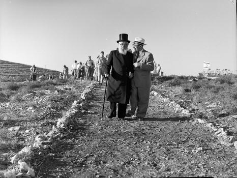 נוטעים לזכר המיליונים