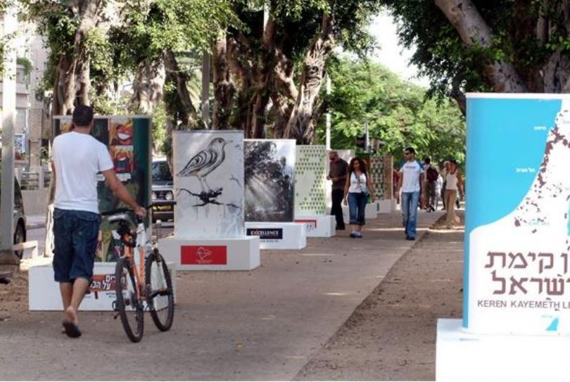 חונכים את השדרה