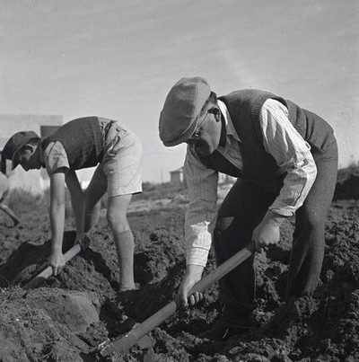 מתל אביב לבת ים