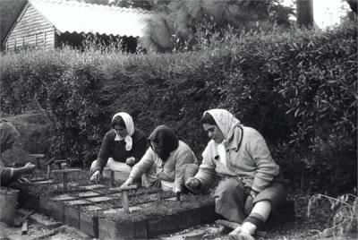 חוק שוויון זכויות לנשים
