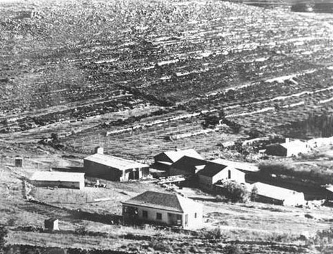 קריית ענבים – מראה כללי בשנת 1921. צילום: ארכיון קריית ענבים