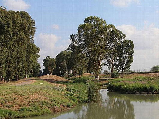 נחל נעמן: ממפגע לחגיגה