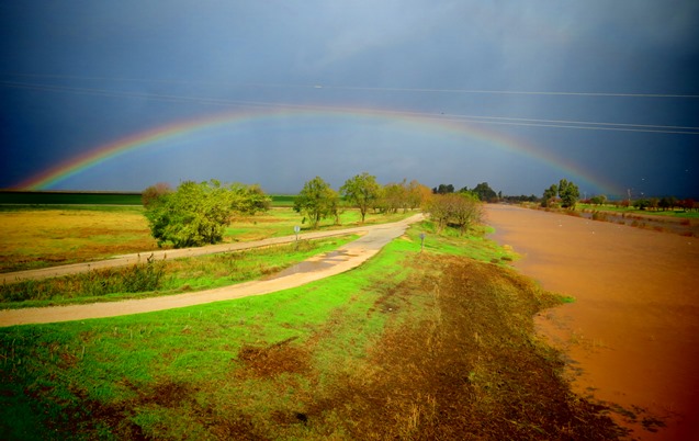 למען הסביבה