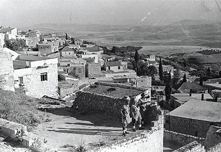 צפת משוחררת