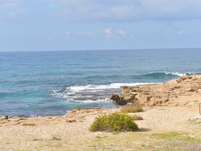 סוף סוף חוף