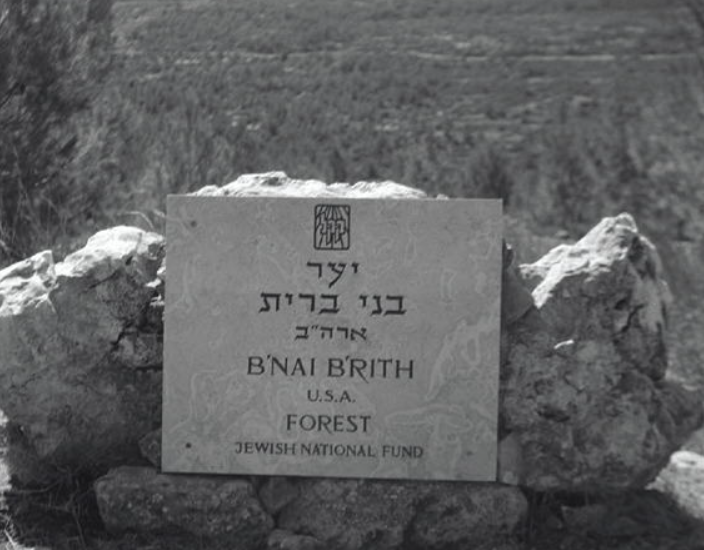 ברית למען העם