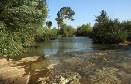 צילום: ששון תירם, ארכיון הצילומים של קקל