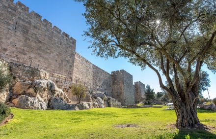 ירושלים, חומת העיר העתיקה. צילום: אבי בל
בן, ארכיון הצילומים, קקל