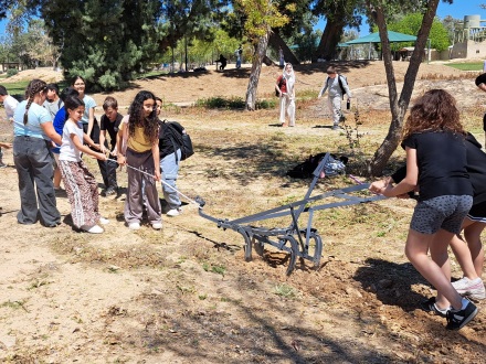 צילום: ישראל אברהמי, ארכיון הצילומים של קקל