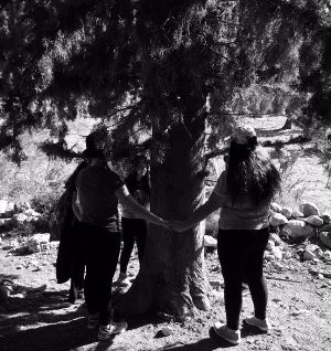 הנערים התחברו בקלות לפעילות. צילום: ישראל פרי