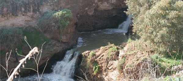 נחל חרוד. צילום: אילן לורנצי, ארכיון הצילומים של קקל