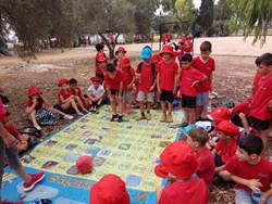 פעילות סולמות וחבלים. צילום: שמחה גרופר, קקל