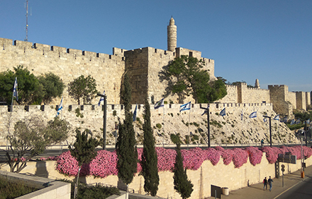 מגדל דוד. צילום: אפרת סיני, ארכיון הצילומים של קקל