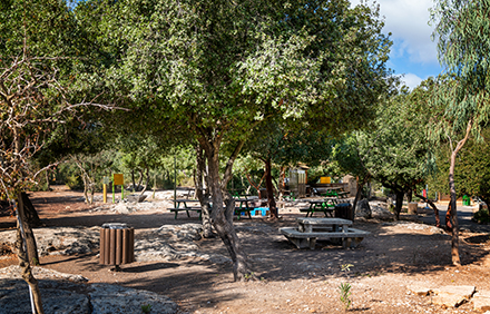 פינות ישיבה בחורש. צילום: בוני שיינמן, ארכיון הצילומים של קקל