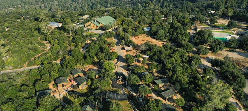 צילום: טי.אס.אר, ארכיון הצילומים של קקל