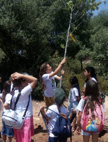 אני נטעתי עץ במרכז השדה נס הרים. צילום: נחמה כהן