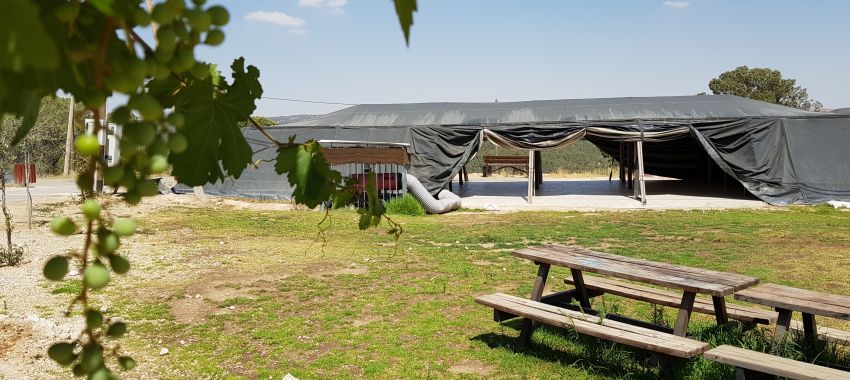 אוהלי אברהם אל מול נוף יער יתיר. צילום: אבינעם ניסים, ארכיון הצילומים של קקל