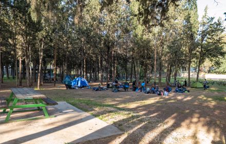 שטח גיחה. צילום: בוני שיינמן, ארכיון הצילומים של קקל