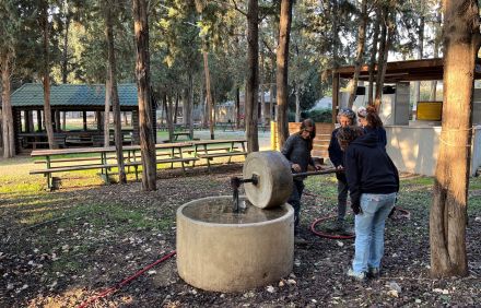 צילום: אדוה קימלפלד