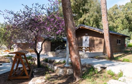 בקתות יער. צילום: בוני שיינמן, ארכיון הציומים של קקל